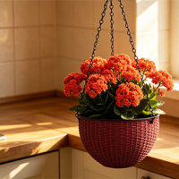 Jardinière murale traditionnelle à double pot à étages, auto-arrosante avec trou de drainage pour jardin au sol