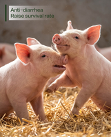 Farine de palmiste fermentée (PKM/PKC) – Ingrédient alimentaire alternatif certifié ISO 22000, 10 kg/sac, Origine Chine – Favorise la santé intestinale