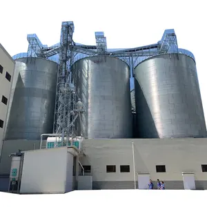 Silo en acier à fond plat, avec tarière de balayage/inclinateur pour décharge