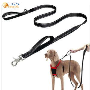 Correa para Perro Más Vendida, con Logotipo Personalizado, de Nailon, Antideslizante, Duradera, Acolchada y Moderna para el Paseo de tu Mascota, Disponible al por Mayor - Product Image 6