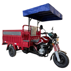 Promotion 2026 : <span class=keywords><strong>Moto</strong></span>-tricycle utilitaire à essence 3 roues avec capacité de charge de 400 kg - Product Image 5