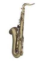 Eastern Music Brass Body Bb Tenor Saxophone Professional Wind Instrument Model TS300Q Rust Resistant for Students