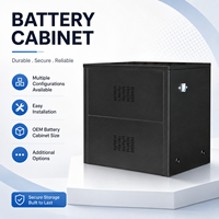 Armoire de batterie métallique personnalisable, boîtier de distribution extérieur, alimentation électrique industrielle, protection IP55