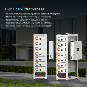 VoltaNest 40kW 80kWh 100kWh Sistema de Almacenamiento de Energía Solar Integrado Todo en Uno para Uso Comercial e Industrial, Montado en Rack - Product Image 1