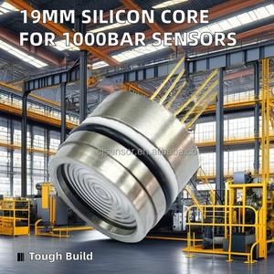 I2c आउटपुट ओएम उच्च प्रदर्शन 19 मिमी पियोरसेटिव मेम 316/304 स्टेनलेस स्टील डिफफलाइज्ड प्रेशर सेंसर सेल 0.5% fs सटीकता - Product Image 6