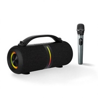 BKK / OEM 26W IPX6 Enceinte portable avec lumière RGB pour fêtes en extérieur