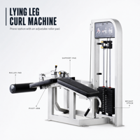 Machine à flexions de jambes allongées pour la musculation des muscles du bas du dos et des jambes, équipement d'entraînement de force pour la musculation, idéale pour les clubs de fitness et les salles de sport à domicile