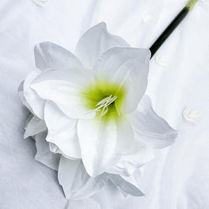Fleur artificielle d'<span class=keywords><strong>amaryllis</strong></span> MeiHui Barbadoslily, nouveaux produits, polyvalente, économique, fidélité, fleurs décoratives de bureau - Product Image 2