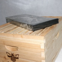 10 Stück Schwarze Kunststoff-Grundplatten 5,4mm, Bienenwaben-Honigrahmen, 16,73*8,3 Zoll Bienenstock-Grundplatten