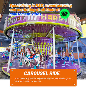 ม้าหมุนสำหรับผู้ใหญ่สวนสนุกแพลนสวนสาธารณะ - Product Image 5