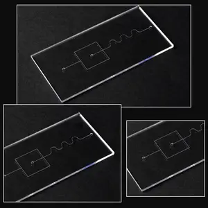 Custom Verschillende Patroon Glas Microfluidic Chip