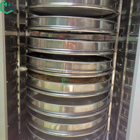 Machine de séchage des fèves de cacao, des grains de café, sécheuse rotative pour feuilles de laurier