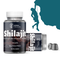 Marque privée OEM ODM Suppléments gommeux Suppléments pour hommes Soutien du niveau d'énergie Gommes de Shilajit extraites naturellement