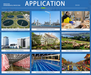 Nhà máy xử lý nước thải Máy đầm bùn với hoạt động làm đặc Đai trọng lực - Product Image 6