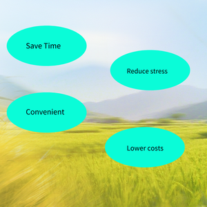 Kit de <span class=keywords><strong>test</strong></span> de grossesse précoce de 28 jours pour les ruminants, bovins, vaches, chèvres, moutons, utilisant la méthode de chromatographie à l'or colloïdal - Product Image 6