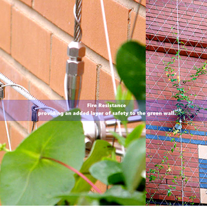 Enrejado de plantas, cuerda tejida, malla, férula de jardín botánico, <span class=keywords><strong>Red</strong></span> de Cable, pared verde, <span class=keywords><strong>red</strong></span> de cuerda de alambre de acero inoxidable - Product Image 4