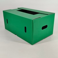 Caisse en plastique pliable pour la logistique agricole, norme européenne, robuste, empilable, emboîtable, recyclable, pour semis et plantes