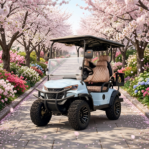 Voiturette de golf électrique tout-terrain 4 places certifiée CE, vitesse 30-40 km/h, autonomie 80-100 km - Product Image 3
