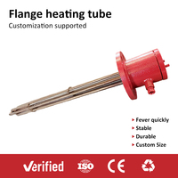 Elementos Calefactores de Inmersión de Resistencia Eléctrica de 300w 12v 24v 48v DC, Calentador Tubular de Agua