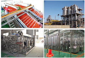 Linha de processamento de suco de frutas, máquina para fazer a máquina - Product Image 5