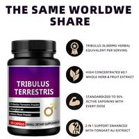 Supplément alimentaire OEM Energy Extrait de plantes Capsules de poudre de Tribulus Terrestris 500mg avec racine de Maca pour le pouvoir de l'homme