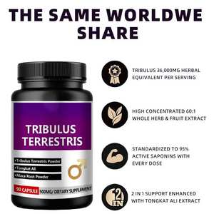 OEM Energy Dietary Supplement <span class=keywords><strong>Herbal</strong></span> <span class=keywords><strong>Extract</strong></span> 500mg <span class=keywords><strong>Tribulus</strong></span> <span class=keywords><strong>Terrestris</strong></span> Pó Cápsulas Com Raiz de Maca para o Poder do Homem - Product Image 3