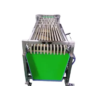 vegetable and fruit avocado garlic tomato pomelo pomegranate cherry washing grading sorting machine