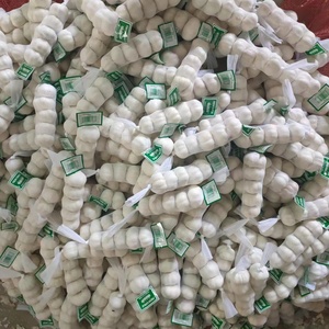 Ajo Blanco Normal Certificado Jin <span class=keywords><strong>Xiang</strong></span> Shandong, Marca Fenduni, Cosecha Nueva, Fresco, de Alta Calidad, Precio al por Mayor, 4.5-6.5cm, Enfriado - Product Image 5