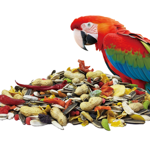 Nuovo 2kg di semi professionali Premium da medie a grandi alimenti per mangimi per pappagalli di alta qualità - Product Image 1