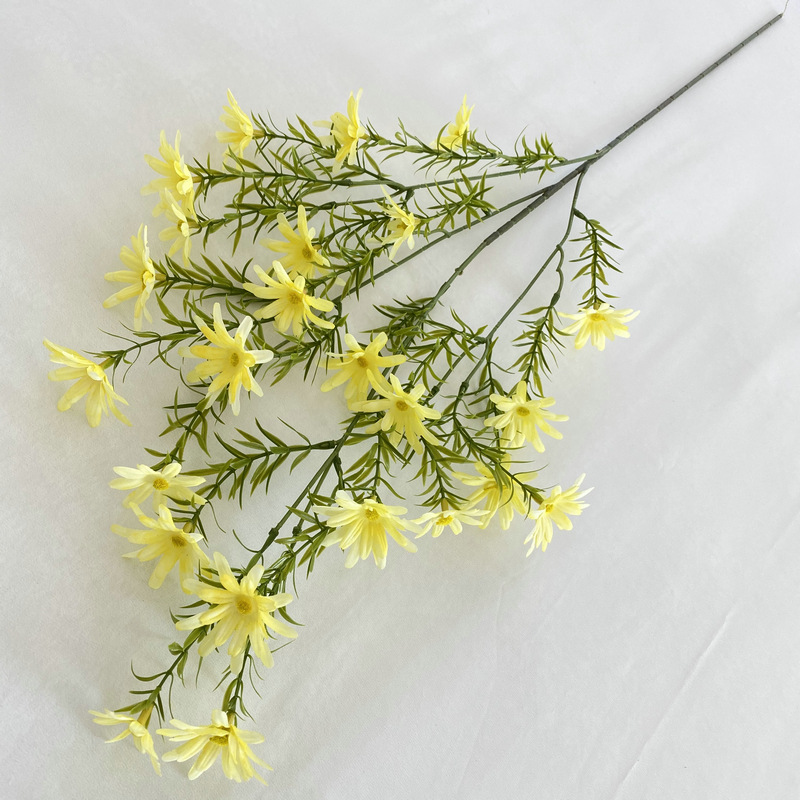 Jaune