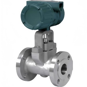 Débitmètre Yokogawa DY015 à clapet coulissant DN15 DN25 DN50 DN80 DN100 en acier inoxydable avec bride pour eau, gaz et huile - Product Image 3