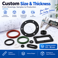 Custom FFKM Seal Ring High Temperature Chemical Resistant Extreme Pressure Precision for Semiconductor Equipment