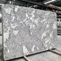 Le granit naturel d'Alaska est résistant à l'usure et convient aux murs d'entrée de villas, aux salles de bain et aux comptoirs d'îlots de cuisine.