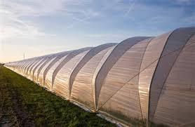 Protection de l'environnement privation de lumière serre <span class=keywords><strong>agricole</strong></span> <span class=keywords><strong>film</strong></span> <span class=keywords><strong>noir</strong></span> et blanc - Product Image 6