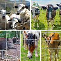 Clôture en grillage galvanisé pour pâturage, clôture pour bétail, moutons, cerfs, ferme (fabricant)