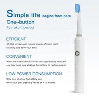 Brosse à dents électrique à batterie durable et performante, fiable pour un usage quotidien et une longue durée de vie