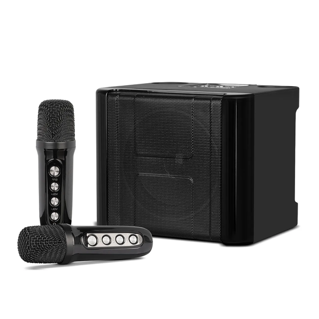 YS208 Cheapest Wireless Speaker Stereo Bass Voice Change Function Home Karaoke Speaker with Microphone