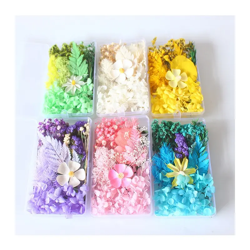 hotsale DIY dried flower material pressed flower real natural dry flowers for Candles resin and Photo Frame art decoration