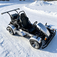 Kart de course tout-terrain à essence 200cc, vitesse maximale de 75 km/h, buggy pour adultes