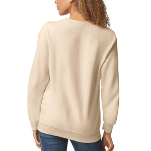 Hot Sale Wholesale 300g 100% Cotton Puff Silk Screen Printing Terry <strong>Crewneck</strong> Blank Plain Custom Hoodies Women <strong>Mens</strong> <strong>Sweatshirt</strong> - Product Image 5