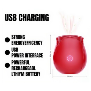 महिलाओं के लिए शक्तिशाली 10 सक्शन कंपन वाइब्रेटर के साथ महिला वयस्क सेक्स खिलौना - Product Image 3