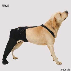 Protège-jambe arrière pour <span class=keywords><strong>chien</strong></span> personnalisable, résistant à l'usure et antidérapant, <span class=keywords><strong>chaussette</strong></span> de <span class=keywords><strong>protection</strong></span> pour patte droite d'animal domestique pour la <span class=keywords><strong>protection</strong></span> des sols intérieurs et le contrôle de la traction - Product Image 1
