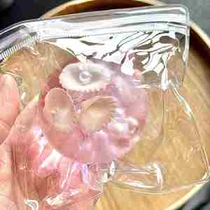 Nouvelle Série de Jouets Squishy TPR en Forme de Boule de Maltose Coquillage Perlé de 6 cm, Anti-stress et Décompression, Cadeau pour Enfants et Adultes, Âge 5-7 Ans, Ambiance - Product Image 2