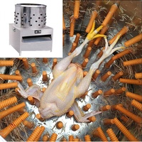 Équipement Avancé d'Abattage de Volaille : Plumeuse à Poulet pour Machines et Matériels Agricoles