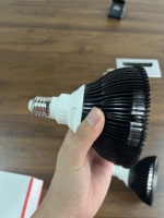 Ampoule de luminothérapie rouge modèle P2, irradiance 130mW/cm², durée de vie 50000H, lampe infrarouge à double longueur d'onde pour soins de la peau