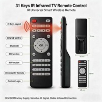 Control Remoto Inalámbrico IR de 31 Teclas para Smart TV LCD, Android TV Box, Carcasa Personalizada OEM ODM, Suministro de Fábrica