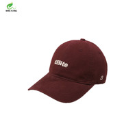 Casquette de baseball 6 panneaux en sergé de haute qualité pour enfants Wins Flying, toutes saisons, couleur macaron classique, tendance mode décontractée pour garçons et filles