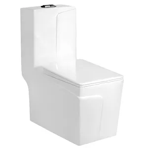 Tek parça tuvalet topuzu ile standart yerçekimi çift gömme sifonik WC üreticisi özelleştirilmiş