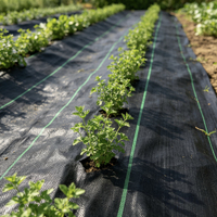 Barrière anti-mauvaises herbes perforée de qualité supérieure pour projets agricoles de parterres de fleurs, melons, citrouilles, ail, oignons, carottes et UK