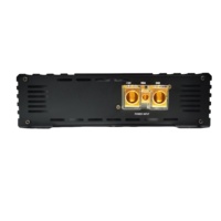 Solution brésilienne Amplificateur de puissance mono audio de voiture compact de classe D alimenté par une source unique avec combinaison crossover